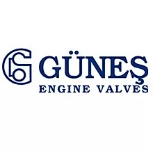 Gunes Engine Valves