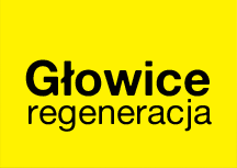 Regeneracja Głowic Mankiewicz